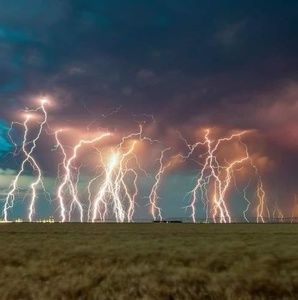 Meet your Posher, Gerald